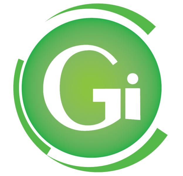 G I Web Design