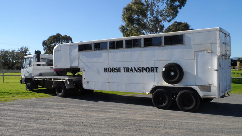 Rui's Horse Transport