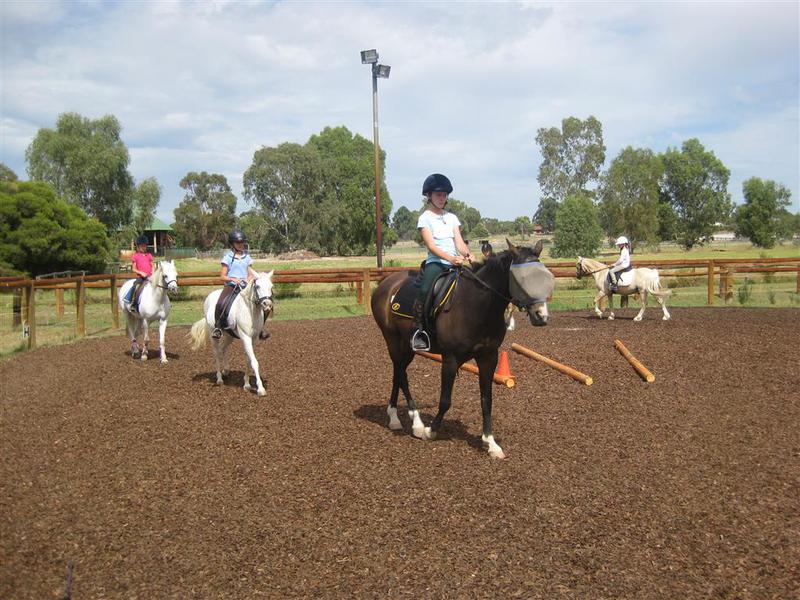 Oriel Park Equestrian Centre