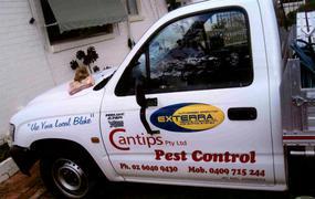 Cantips Pest Control
