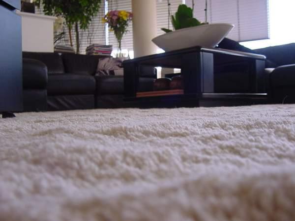 Carpet Dealers
