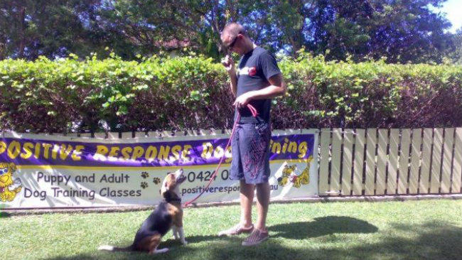 Positive Response Dog Training