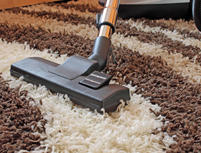 Xpert Cleaning Services: Newcomb