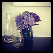 Claire Stevens Interior Design