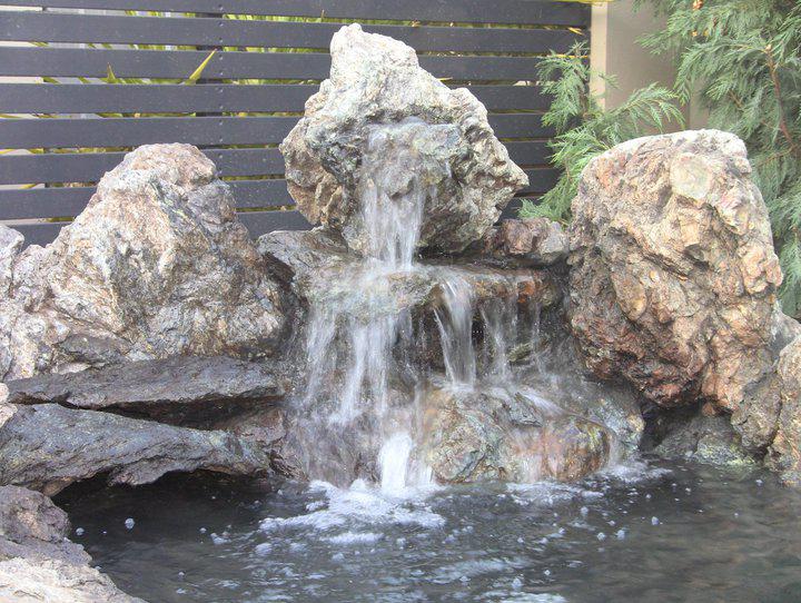 David Ting:The Garden Guide