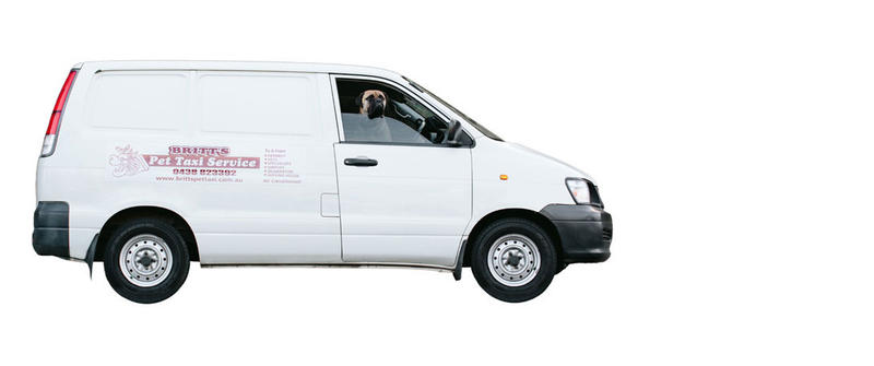 Britt's Pet Taxi