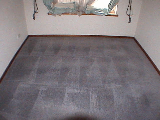 Quick Dry Carpet Cleaning