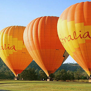 Hot Air Balloon: Gold Coast