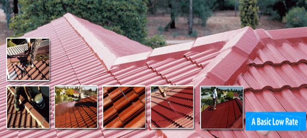 Topshield Roof Restoration: Eight Mile Plains