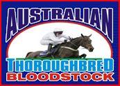 Australian Thoroughbred Bloodstock