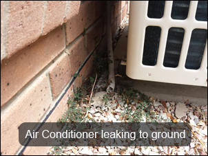 Sound Building Inspections: Morningside