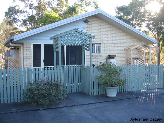 Aylesham Cattery