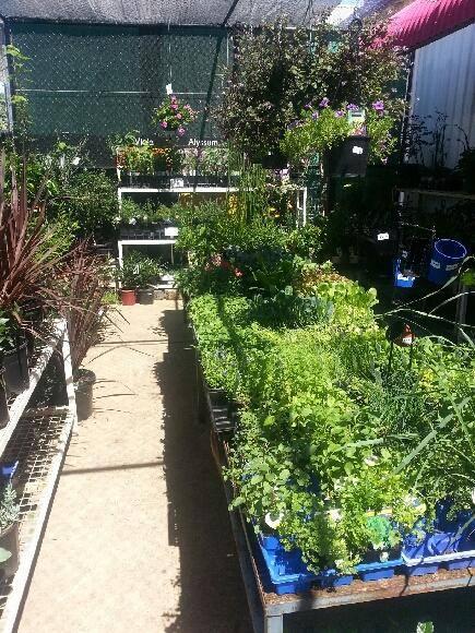 Sterling's Garden & Gifts