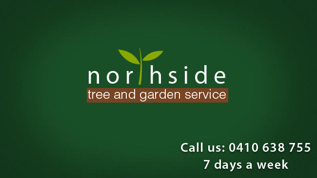 Northside Tree & Garden Service: Willoughby