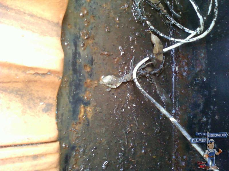 Your Neighbourhood Plumber: Woolloomooloo