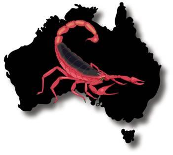 Executive Investigations: Canberra