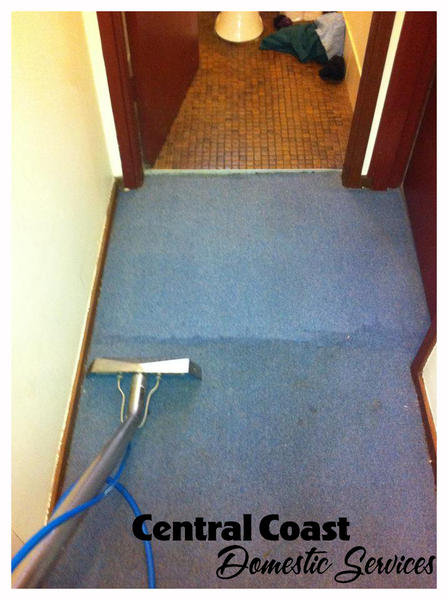 Central Coast Domestic Services