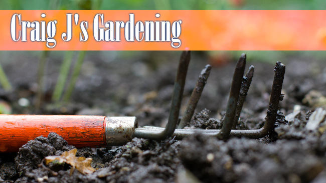 Craig J's Gardening