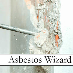 Asbestos Wizard logo