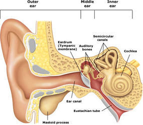 CliniCare Hearing Solutions