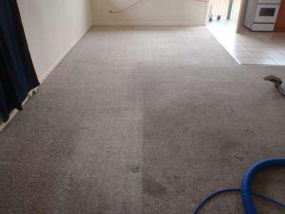 A-Zoom Carpet Care & Pest Management