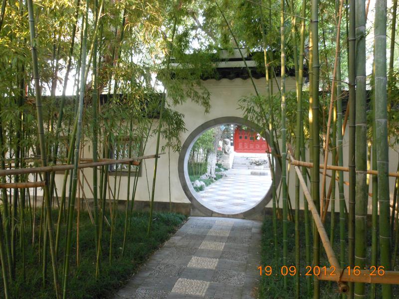 Whittlesea Chinese Medicine Clinic