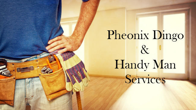 Pheonix Dingo & Handy Man Services