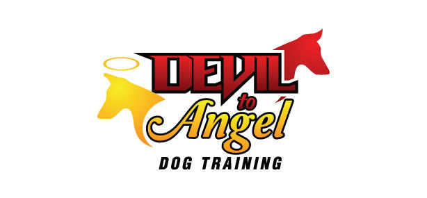Devil to Angel Dog Training
