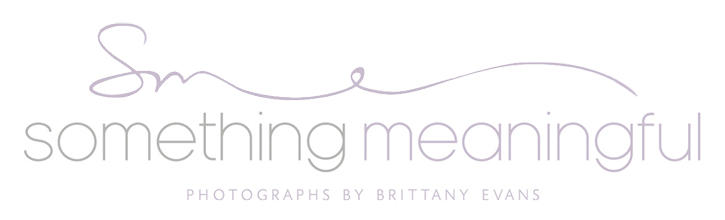 Something Meaningful logo
