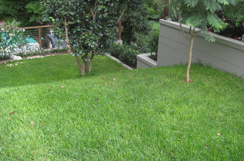Enchanted Landscape & Design