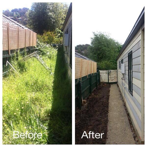 Blandford Gardening