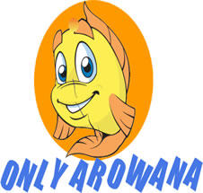 Only Arowana