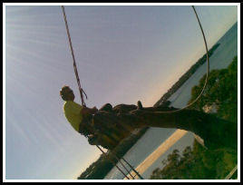 Arbor Assist Pty Ltd