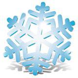 Snowflake Australia logo