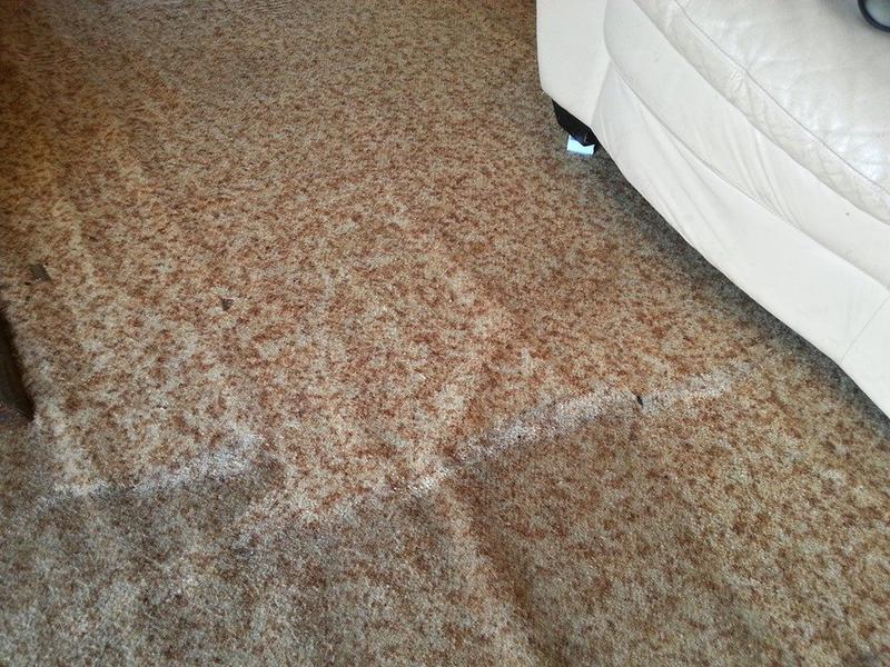 Mcardles Cleaning Services