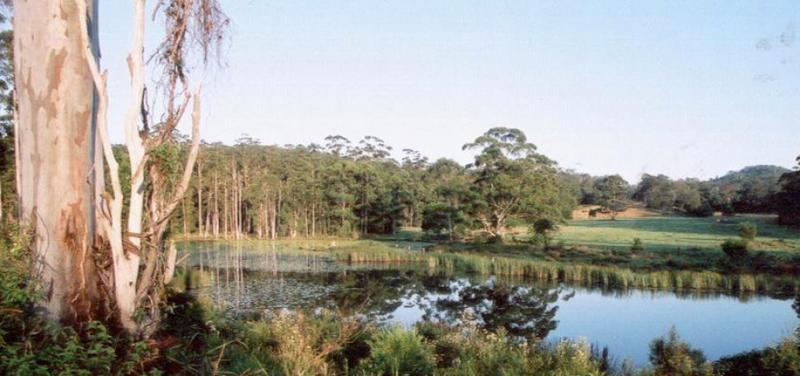 Clarendon Forest Retreat
