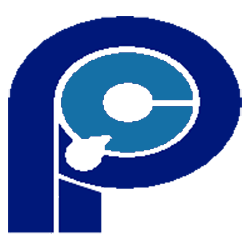 Panda Computer Australia logo