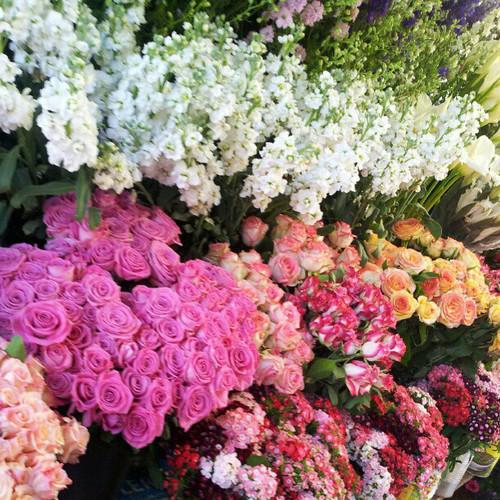 Daily Flower Deals