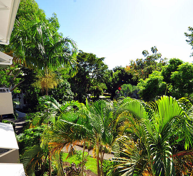 Oasis at Palm Cove