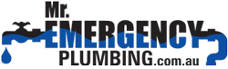 Plumber Albion