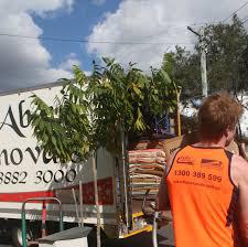 All About Removals
