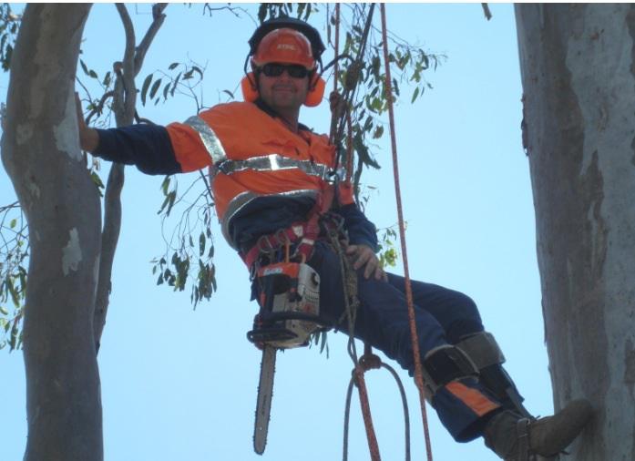 Safe Tree Services