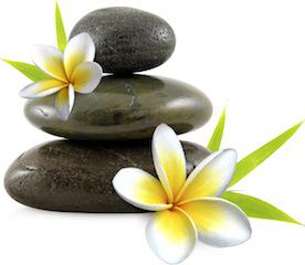Zen Mobile Spa & Beauty