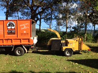 United Tree Services