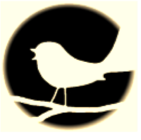 Your Song Studio