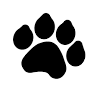 Claire's Dog Grooming