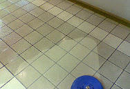 The Squeaky Clean Team: Melbourne