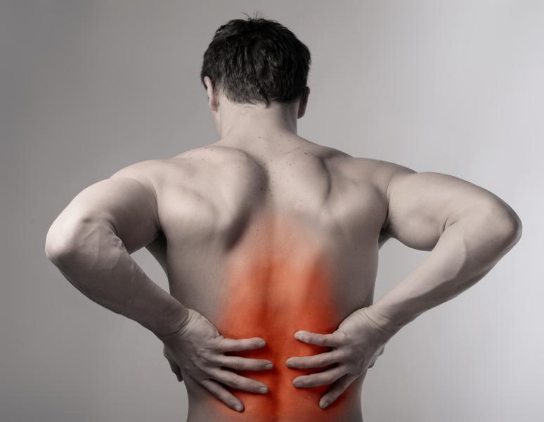 Casuarina Salt Chiropractic & Remedial