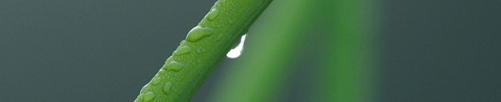 Acumen Clinical Hypnotherapy