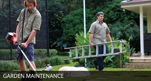Harrison's Garden Maintenance